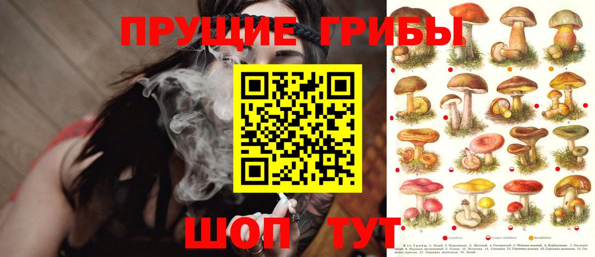 Белово  Галлюциногенные грибы MAGIC MUSHROOMS  Вход с VPN  Галлюциногенные грибы MAGIC MUSHROOMS 